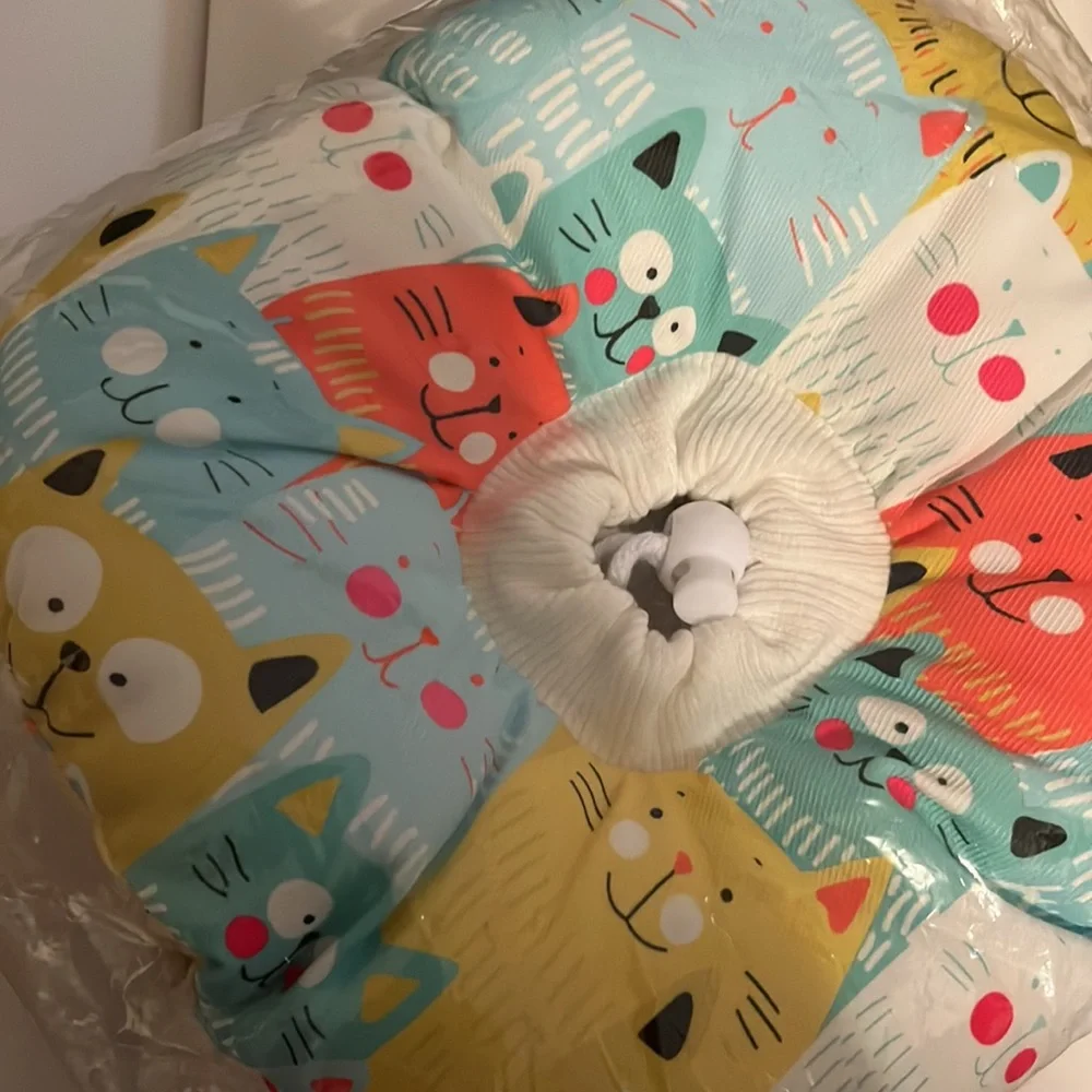 🐈… 🐾 • 🏥 RECOVERY ❤️‍🩹 🏥❤️‍🩹 • 🐾… 🐱